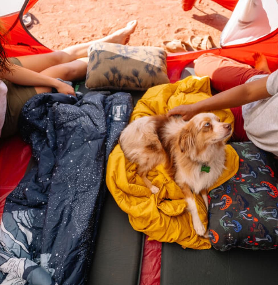 Stellar Blanket Space, view: 2