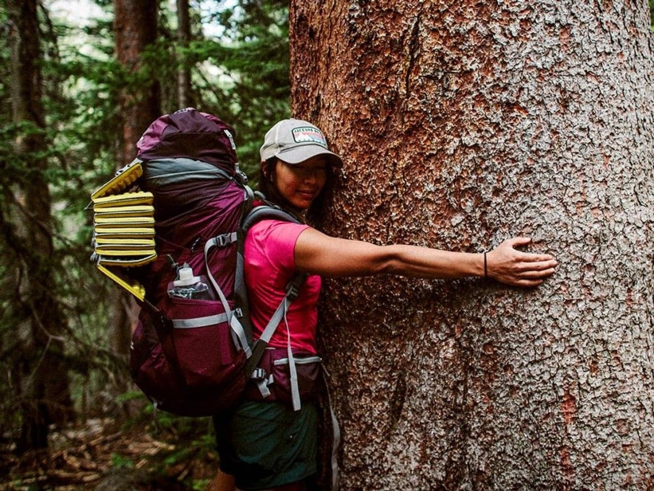 Z-Lite SOL Regular Limon/Silver, view: 1