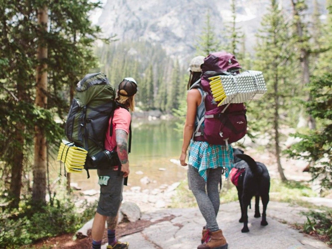 Z-Lite SOL Regular Limon/Silver, view: 5