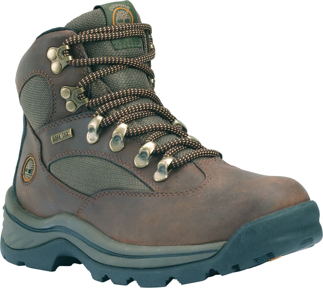 W's Chocorua Trail Mid GTX Dark Brown, view: 0