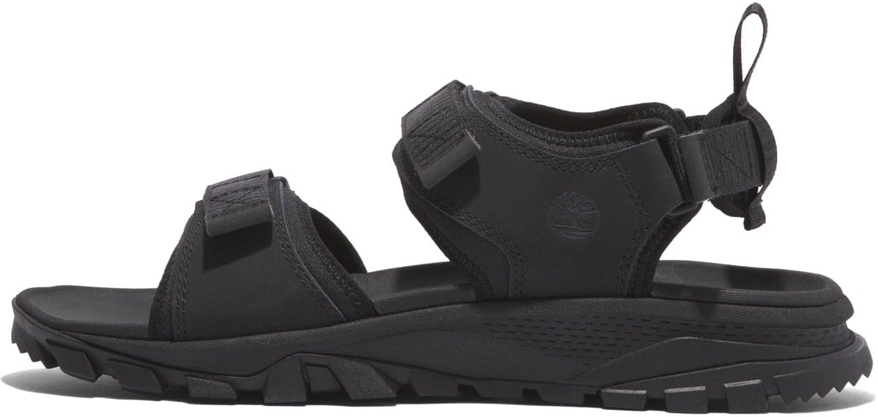 Womens Lincoln Peak 2 Strap Sandal Blk Leather, view: 1
