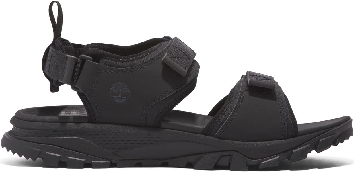 Womens Lincoln Peak 2 Strap Sandal Blk Leather, view: 0