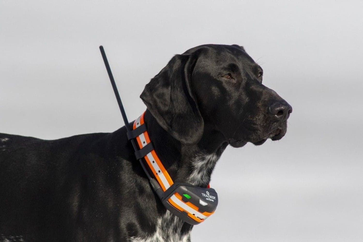 Artemis Easy, view: 1