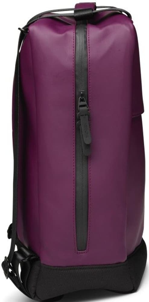 Wings Flexpack Blackberry, view: 2