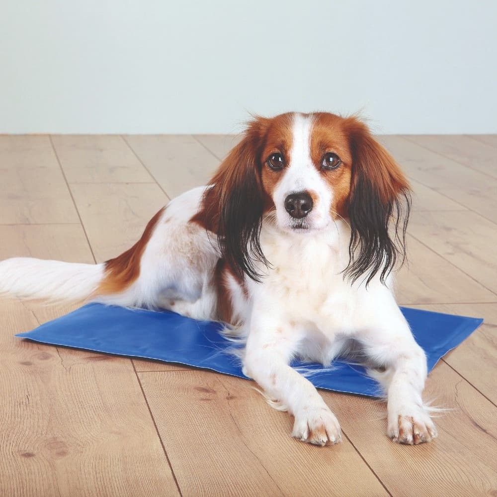 Kyldyna 110x70 cm, view: 1