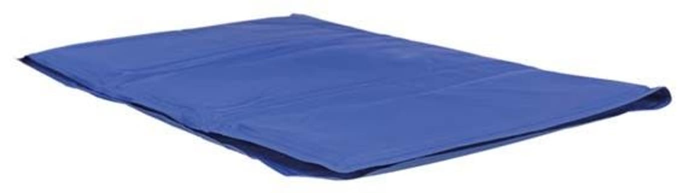 Kyldyna 100 × 60 cm, view: 0