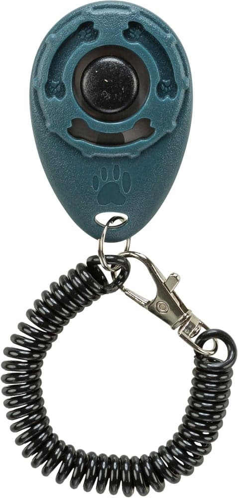 Sporting Klicker, view: 1