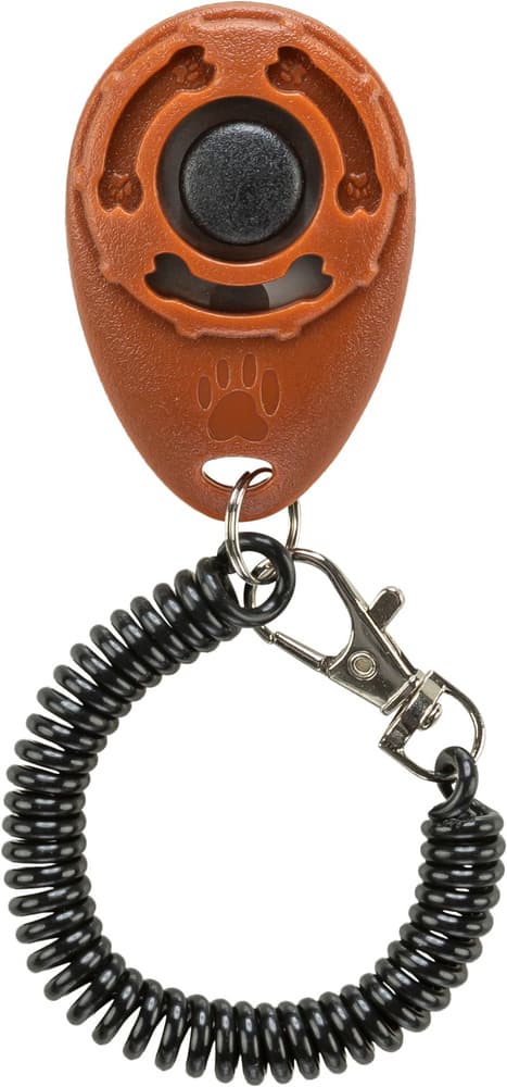 Sporting Klicker, view: 3