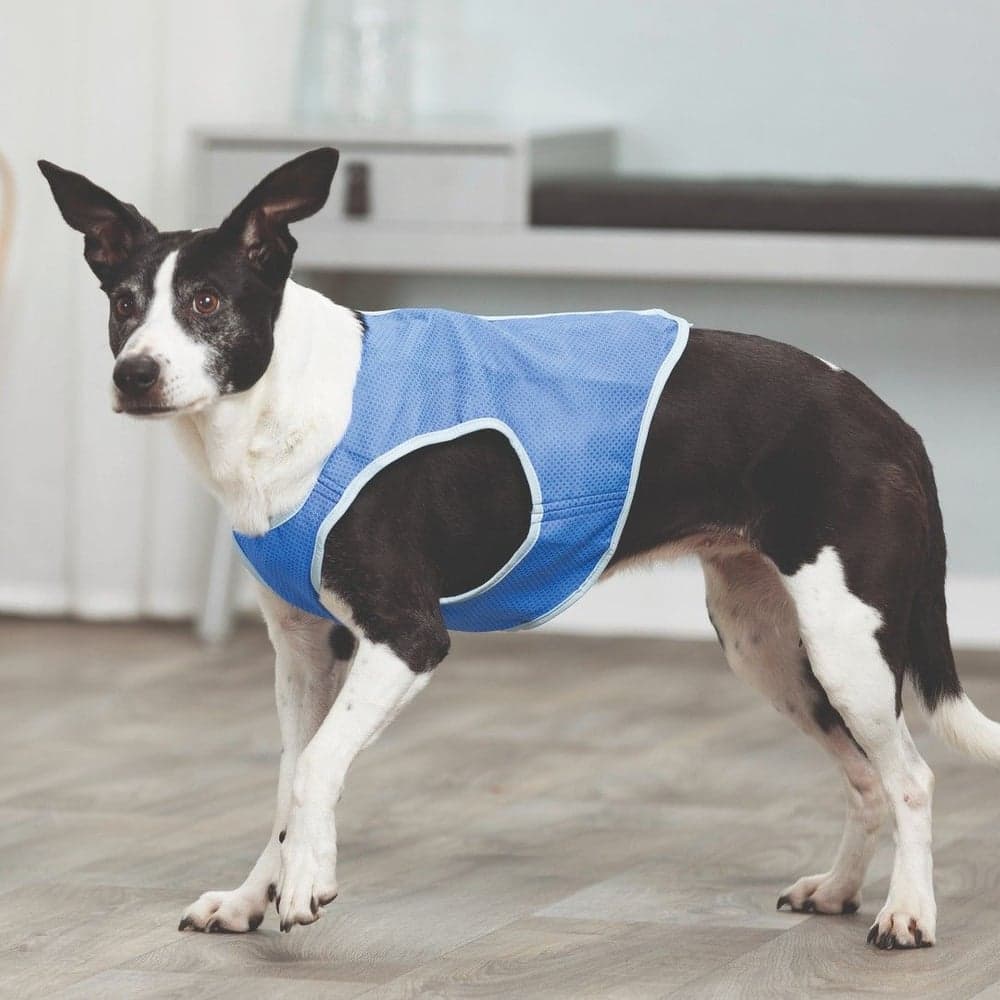 Kylväst PVA M 30 cm, view: 1