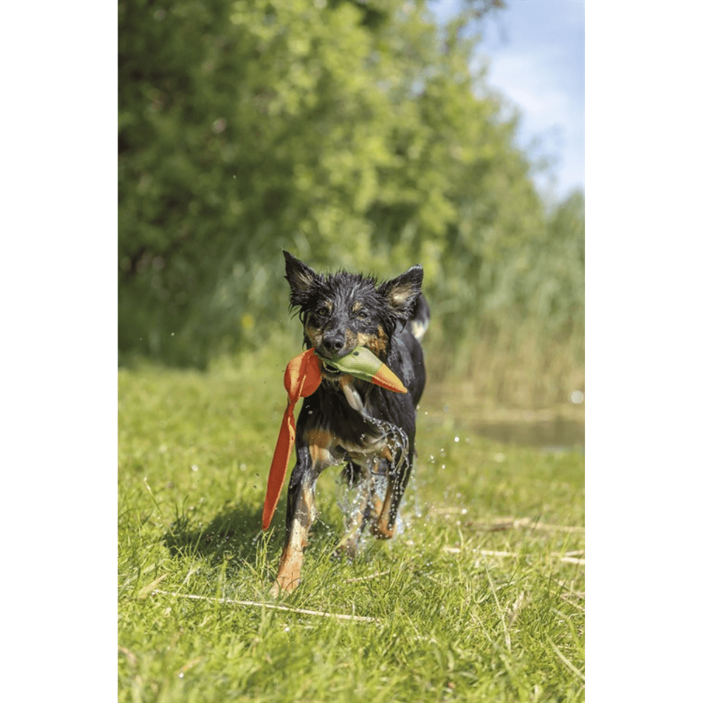 Anka flytande 50 cm, view: 3