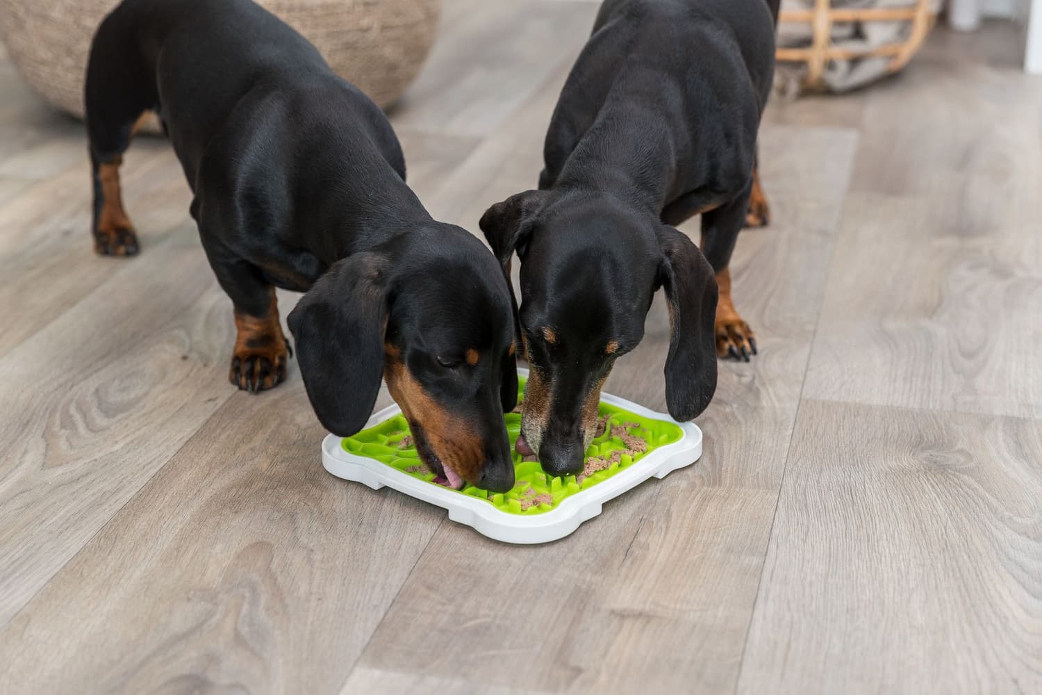 Lick'N'Snack Platta, view: 1