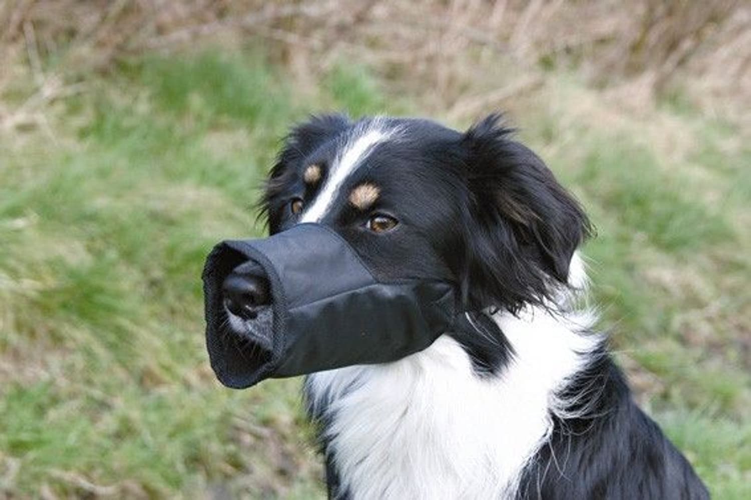 Munkorg Nylon M 24 cm, view: 0