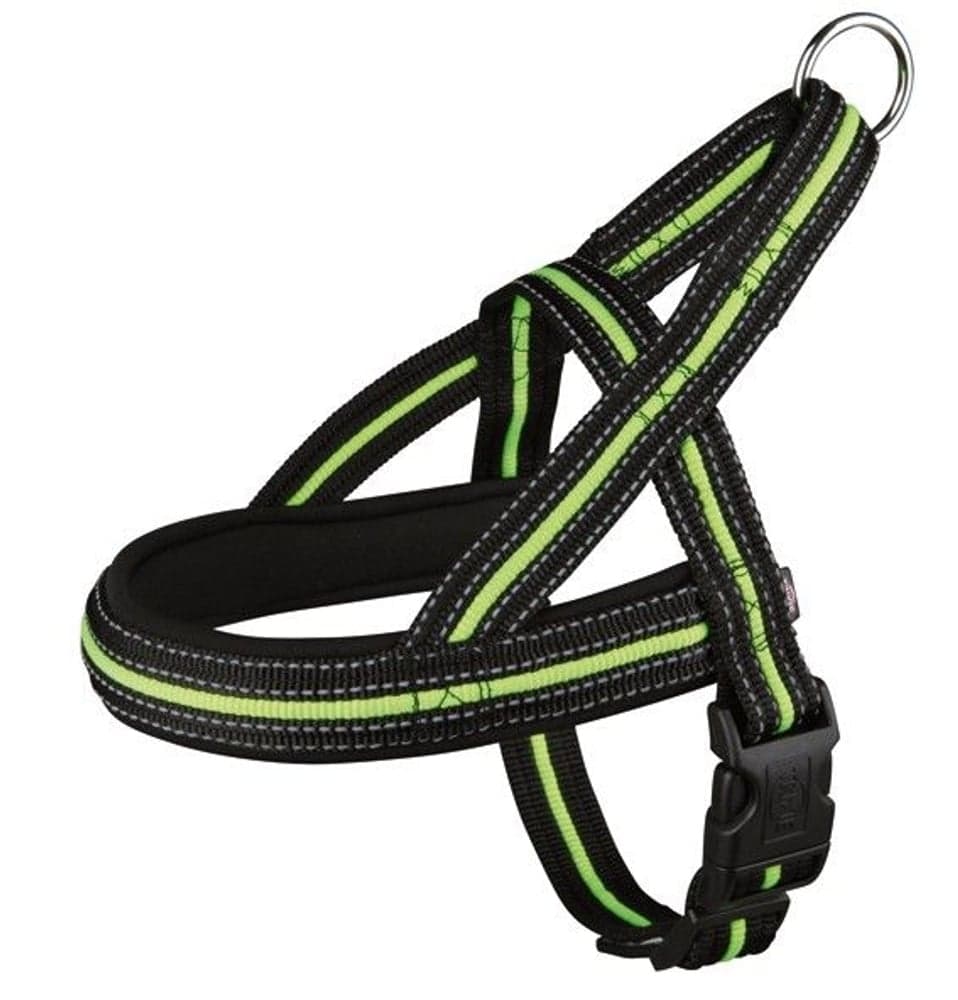 Sele Norwegian 78-100 cm, view: 0