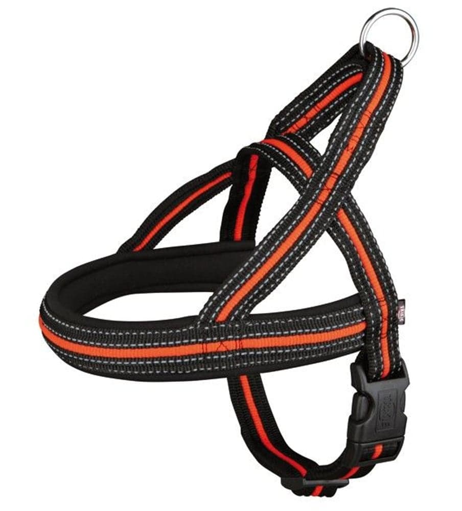 Sele Norwegian 78-100 cm, view: 1