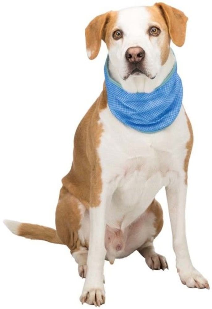 Kylbandana PVA XL 46-56 cm, view: 1