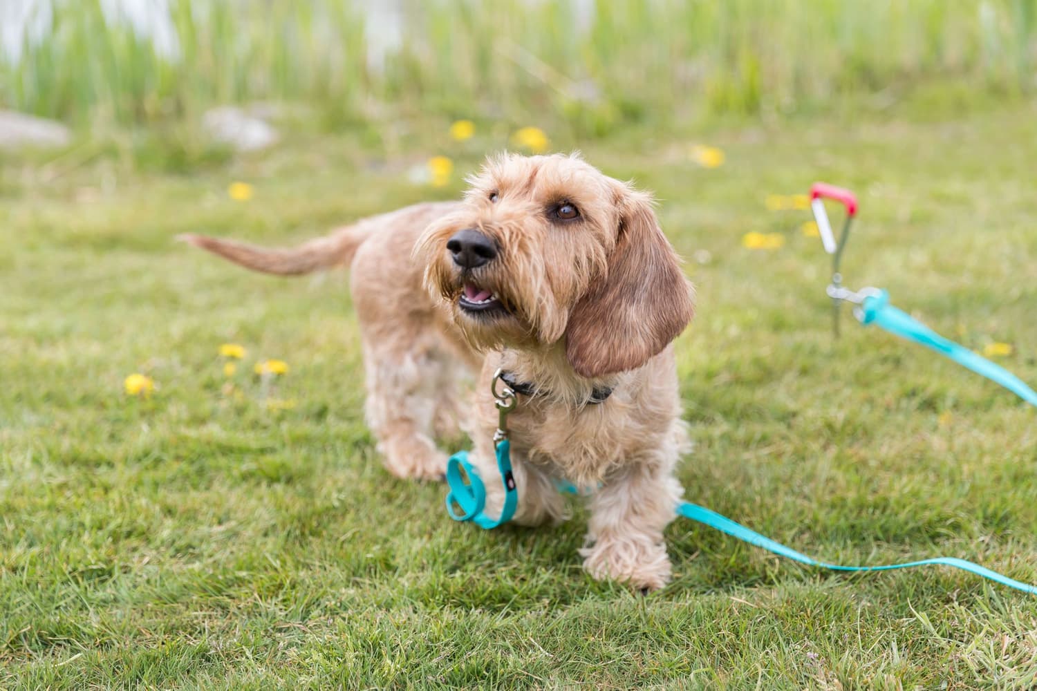 Tjuderkrok 40 cm/ø 9,0 mm, view: 1