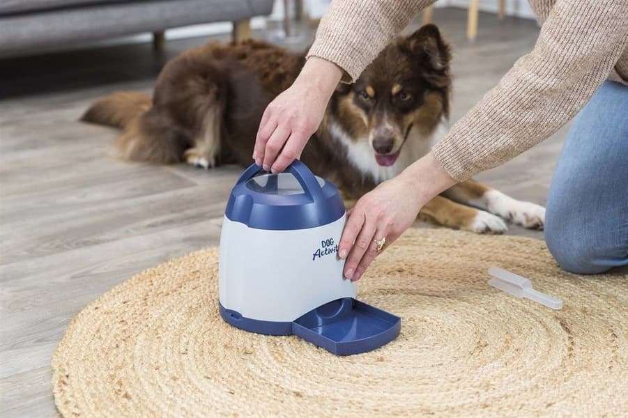 Memory Trainer 3.0 Nivå 3, view: 4