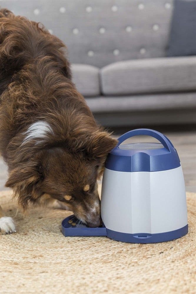 Memory Trainer 3.0 Nivå 3, view: 3