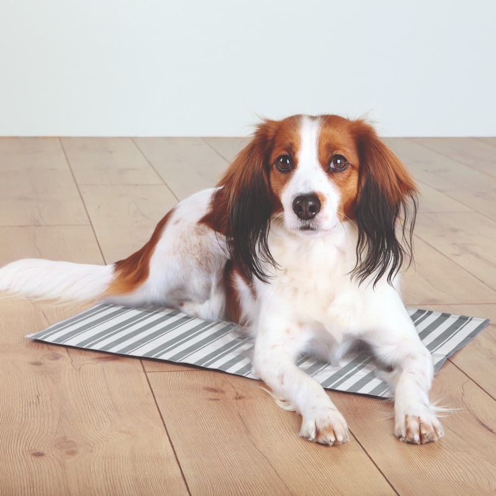 Kyldyna 50×40 cm Vit/Grå, view: 1