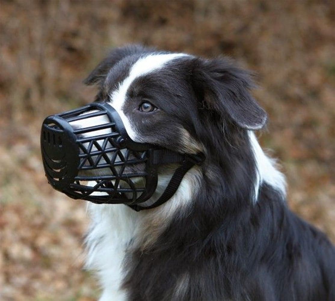 Munkorg Plast Svart M-L 26 cm, view: 1