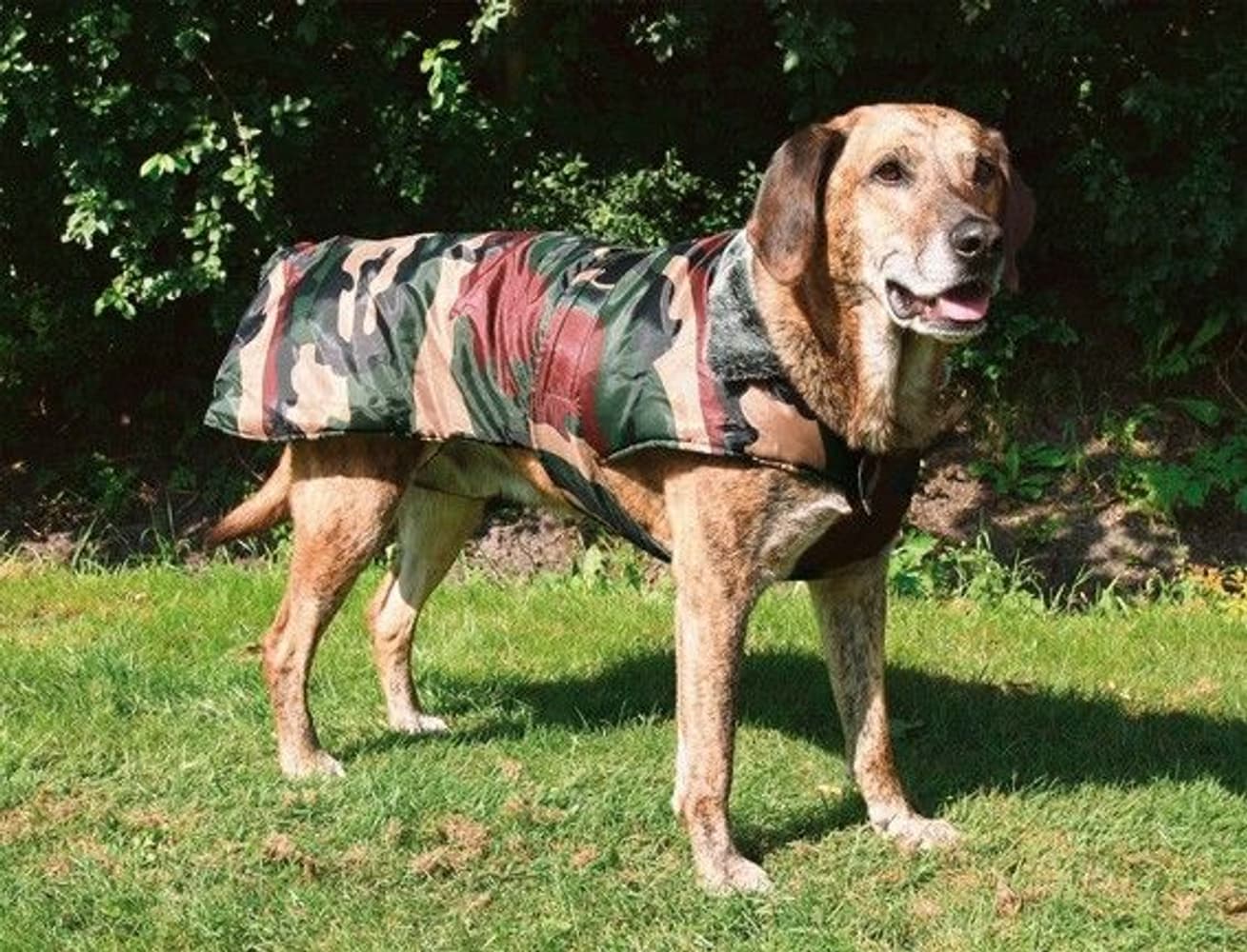 Hundtäcke Kamouflage 60 cm, view: 0