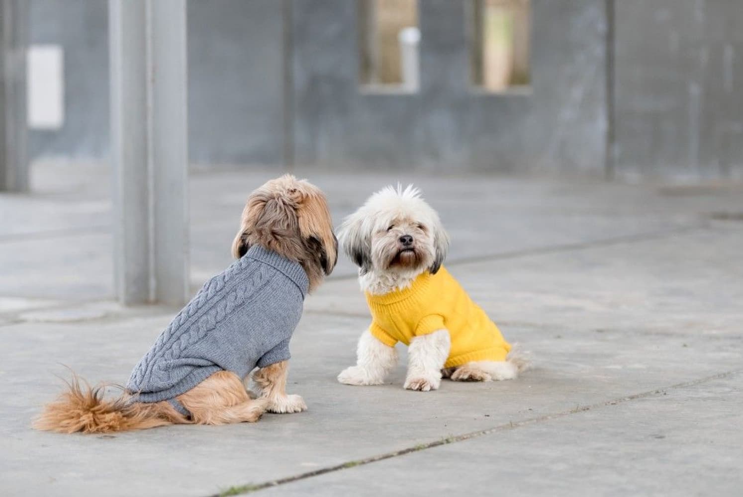 Kenton Pullover Grå 33-40 cm, view: 2