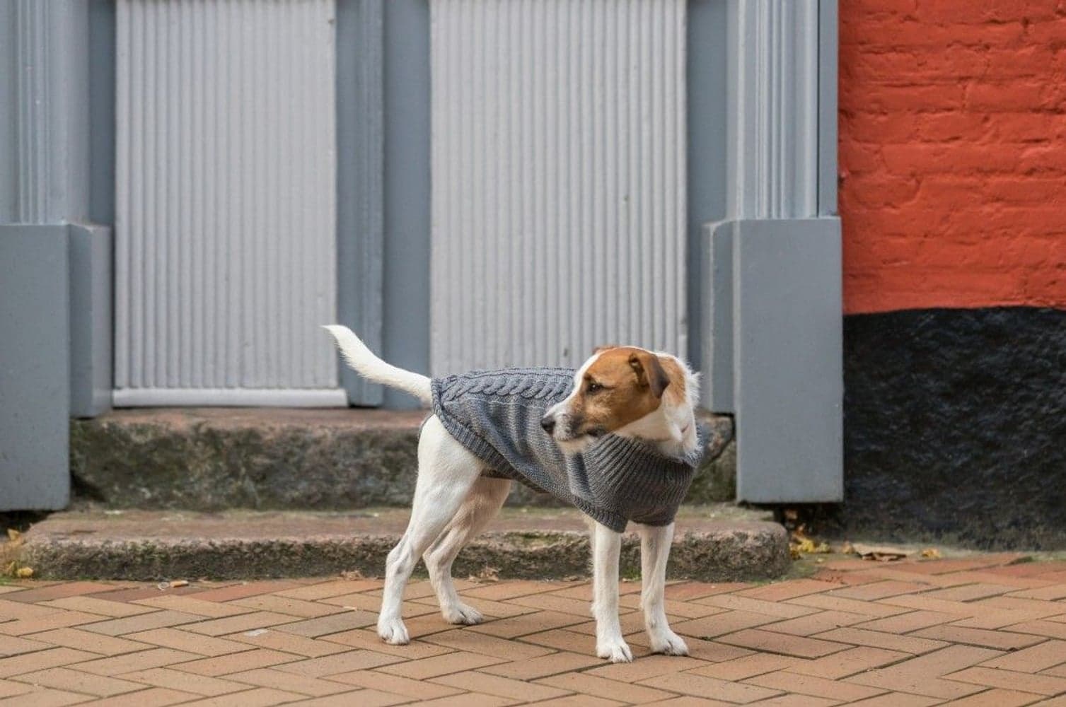 Kenton Pullover Grå 45-50 cm, view: 3