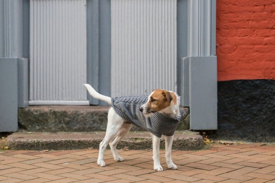 Kenton Pullover Grå 55-60 cm, view: 3