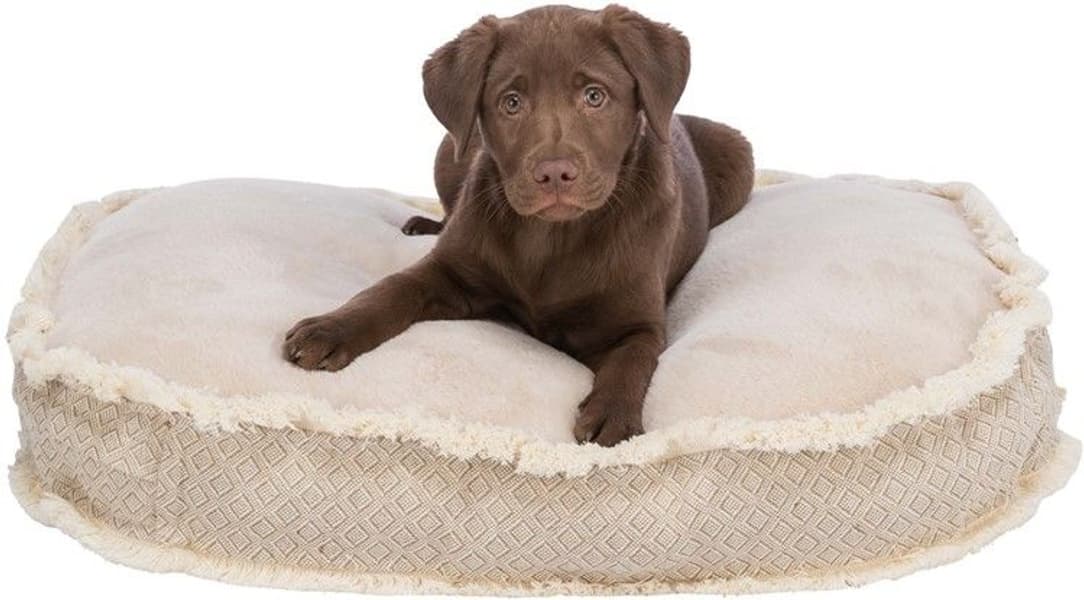 Boho Dyna Oval 80 × 65 cm Beige, view: 1