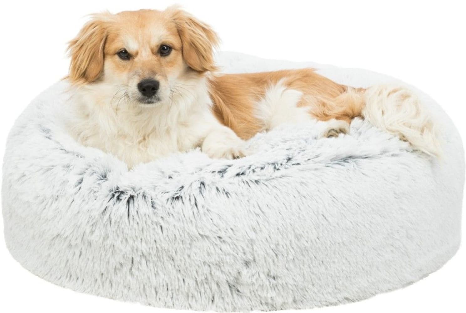 Harvey Dyna Ø60 cm Vit/Svart, view: 1