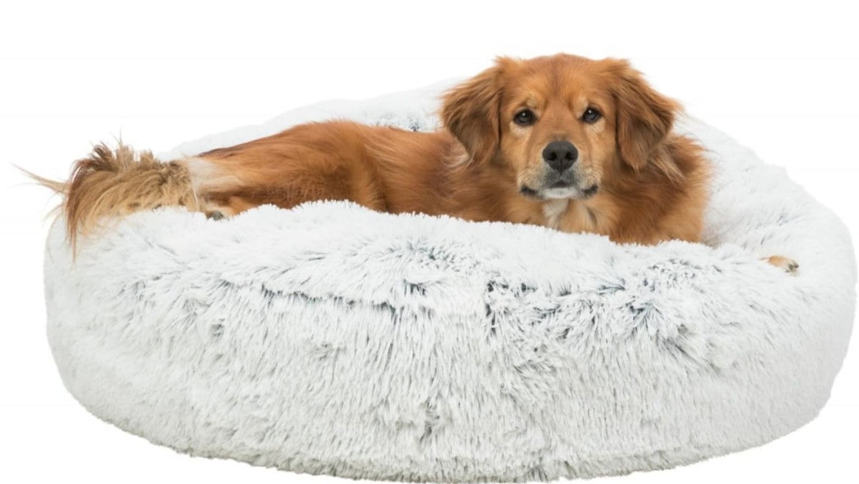 Harvey Dyna Ø80 cm Vit/Svart, view: 1