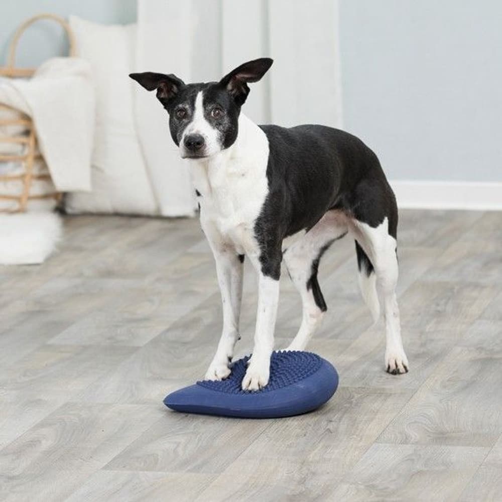 Dog Activity Balansdyna 28 cm, view: 0