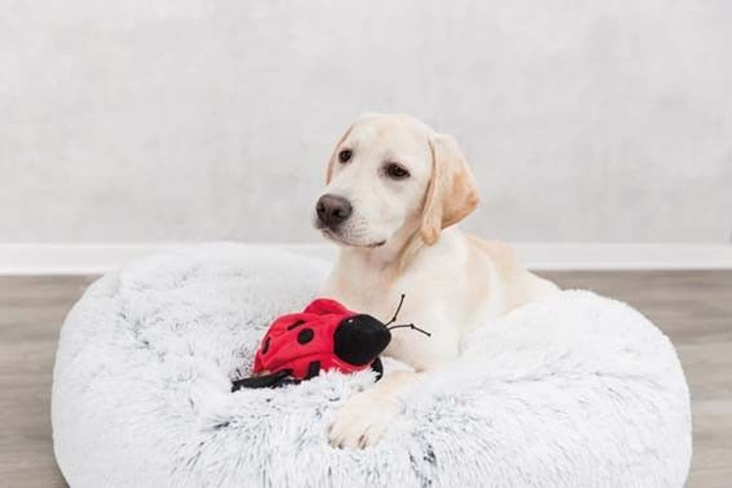 Harvey Dyna Ø100 cm Vit/Svart, view: 2