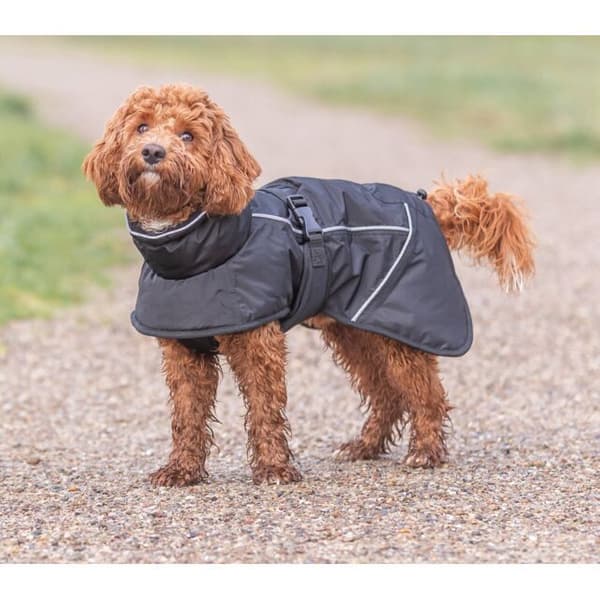 Brizon Winter Coat Black 55 cm, view: 3