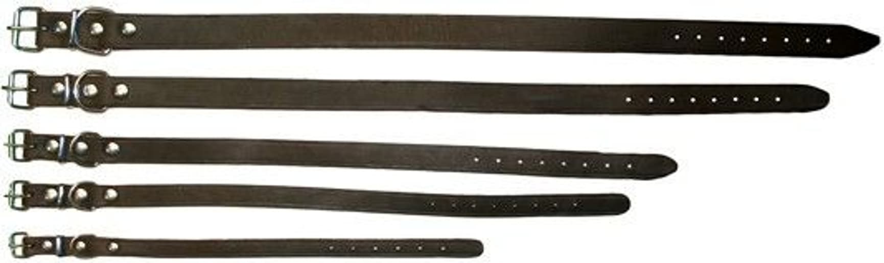 Halsband Råläder 16 mm / 45 cm, view: 0