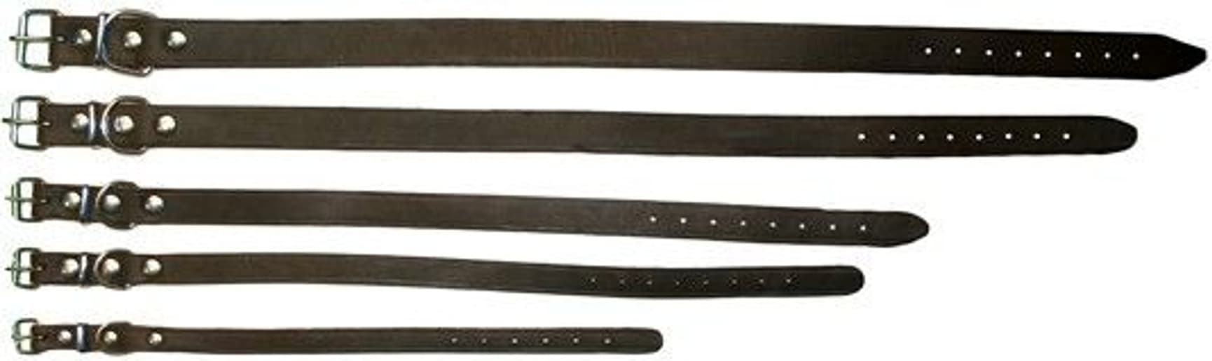 Halsband Råläder 25 mm / 65 cm, view: 0