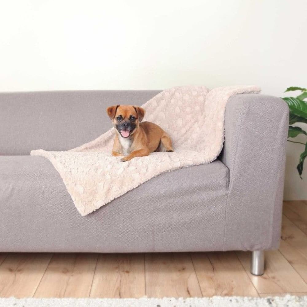 Hundfilt Cosy 150 × 100 cm Beige, view: 1
