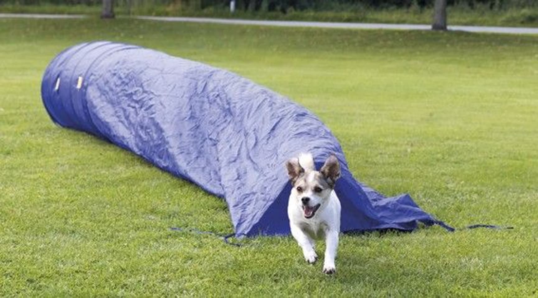 Agility Säcktunnel 60 x 500 cm, view: 0