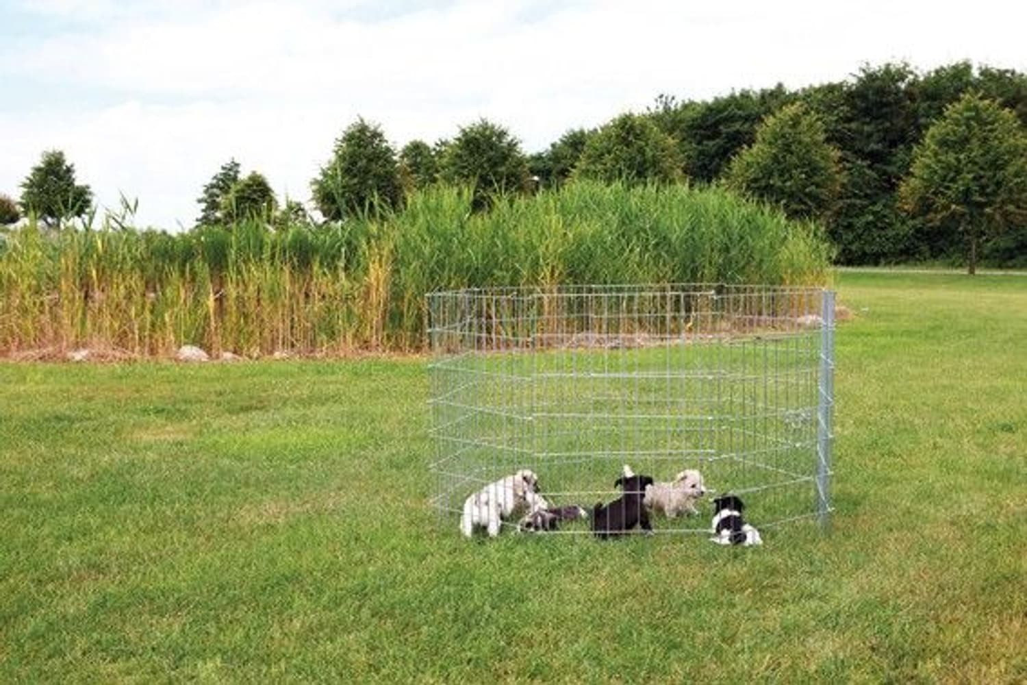 Valphage Metall 8 Sekt: 61 X 91 cm, view: 0