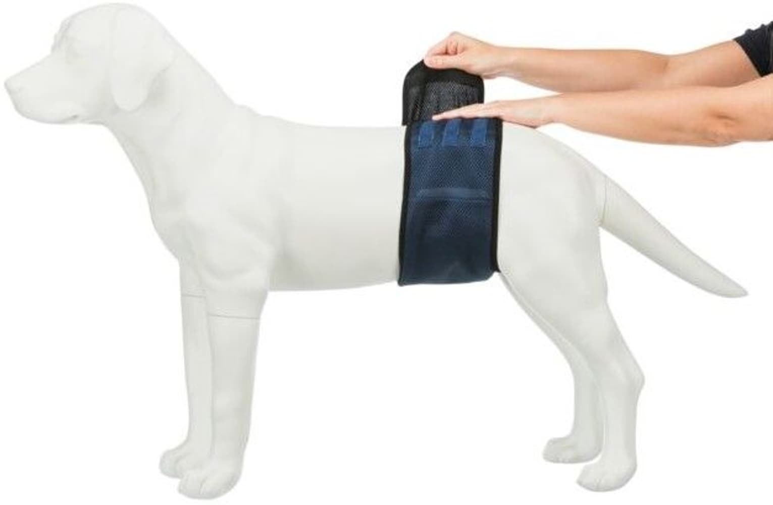 Hanhundsskydd Mörkblå L-XL, view: 6