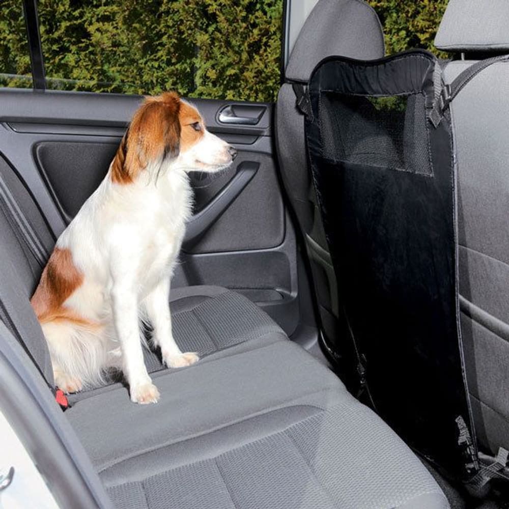 Baksätesavgränsare Svart, view: 1