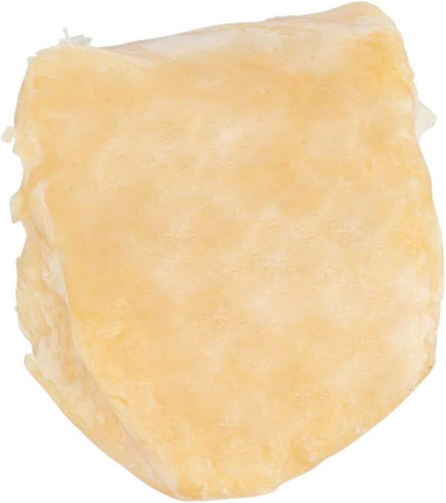 PREMIO Advent Calendar for Dogs, view: 7