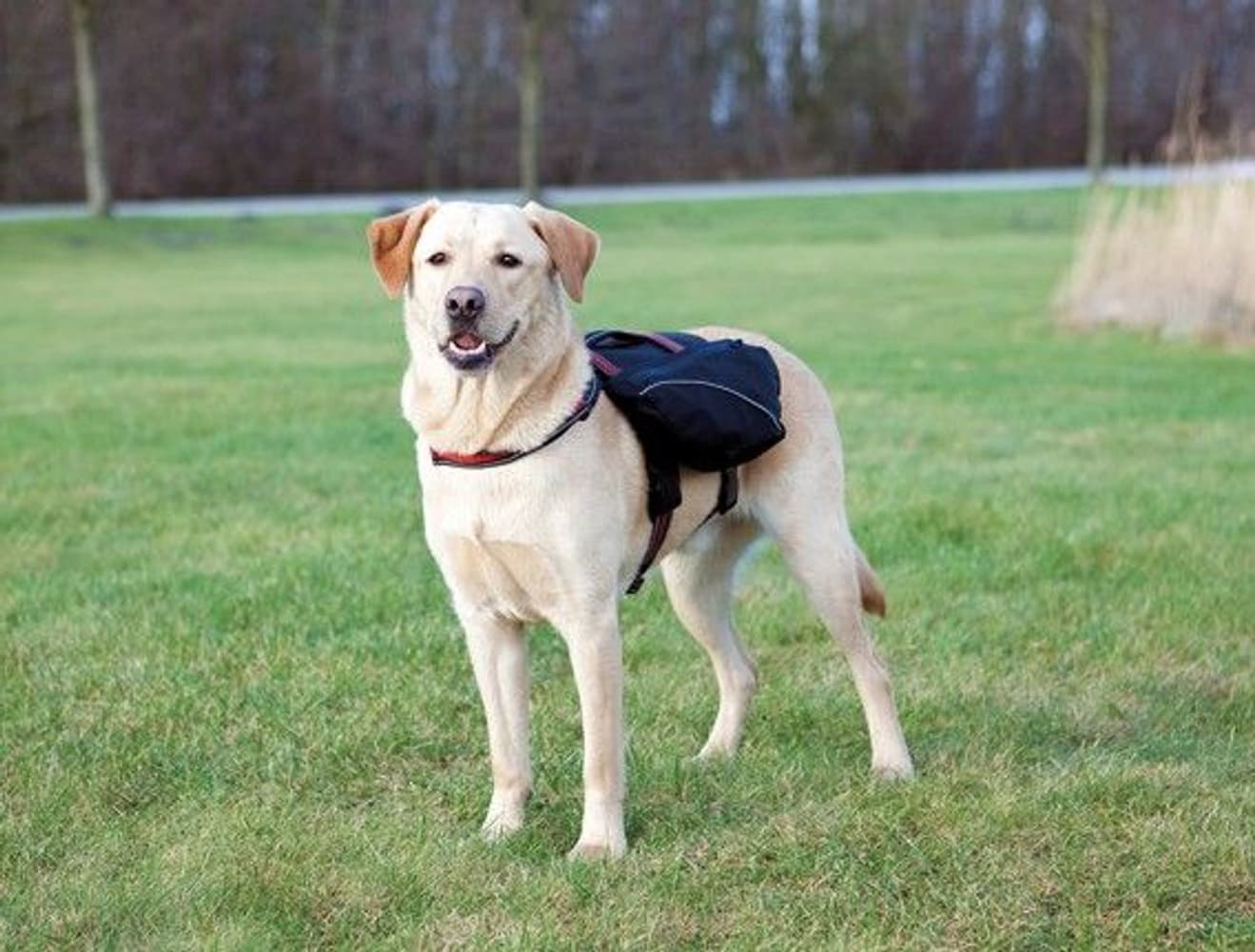 Klövjeväska L-XL: 31 x 17 cm Svart, view: 0