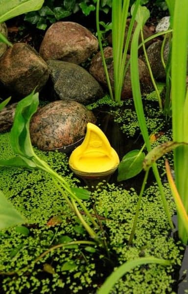 Aqua Toy Hajfena Flytande TPR ø 18 cm, view: 3