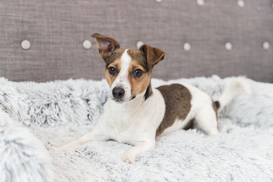 Harvey Soffbädd 90 × 90 cm Vit/Svart, view: 1