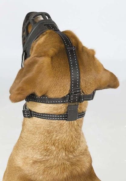 Munkorg Muzzle Flex Silicon XL Svart, view: 2