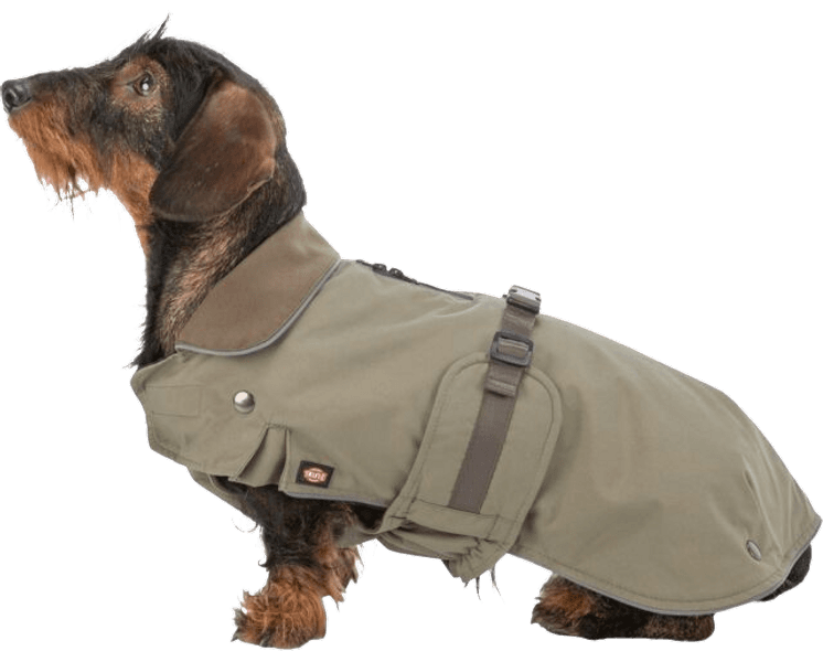 Hermy 2 in 1 Dachshund Olive Green 43 cm, view: 3