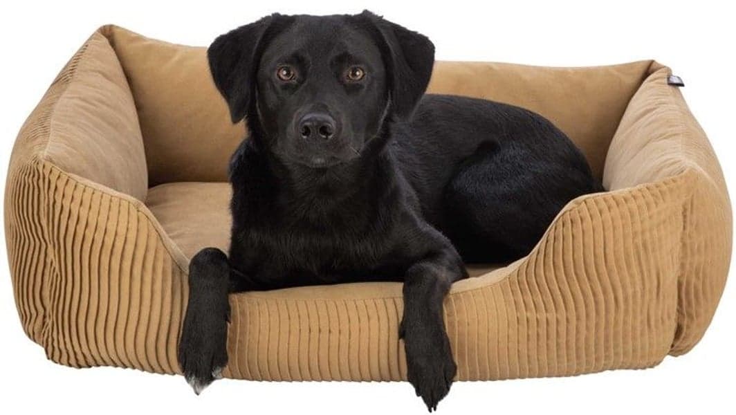 Marley Bädd Rektangulär 60x50 cm Ochre, view: 2