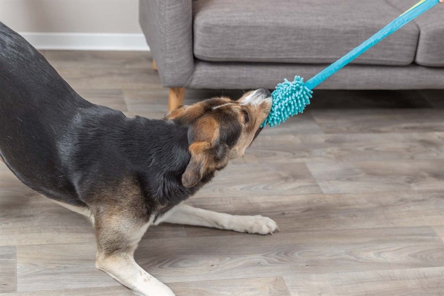 Bungee Dummy Polyester 20 cm/47 cm Petrol, view: 2