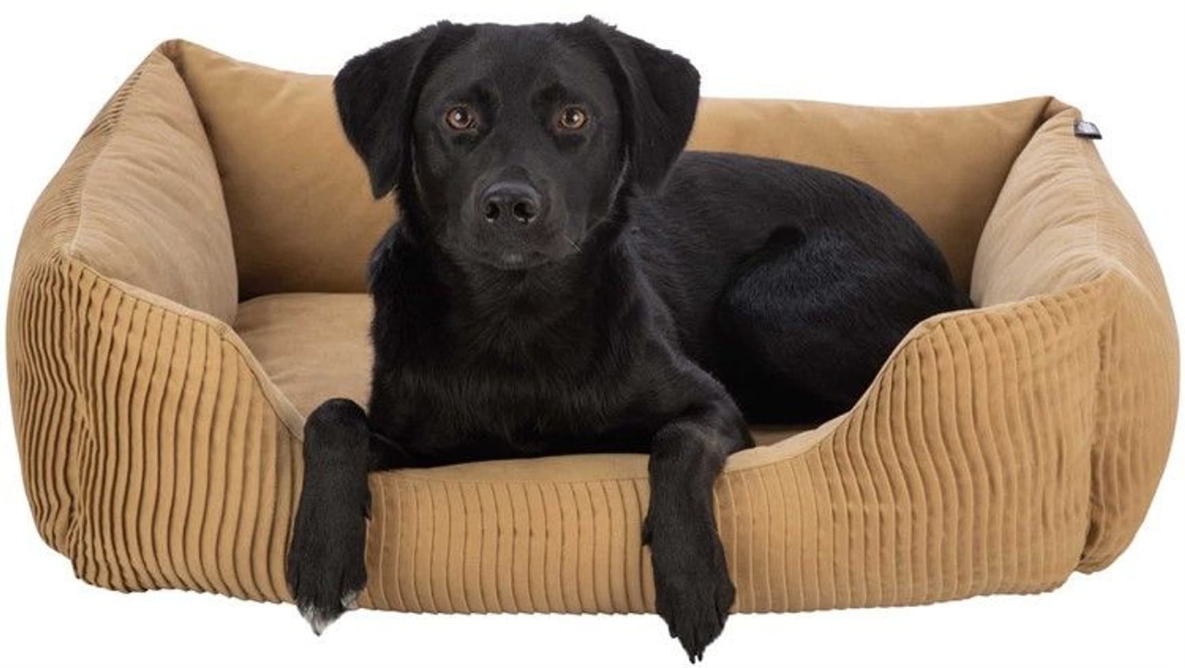 Marley Bädd Rektangulär 80x60 cm Ochre, view: 2